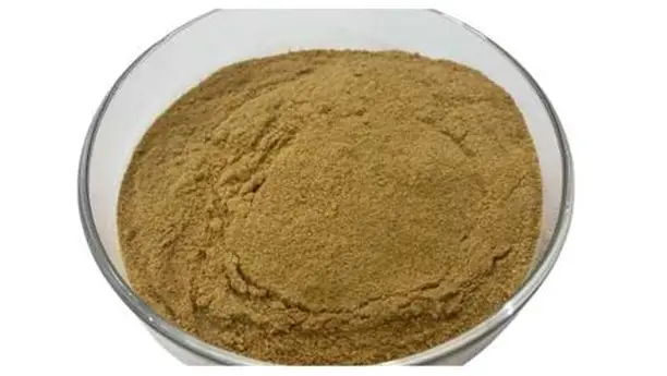 Hydrolyzed Vegetable Protein (HVP)